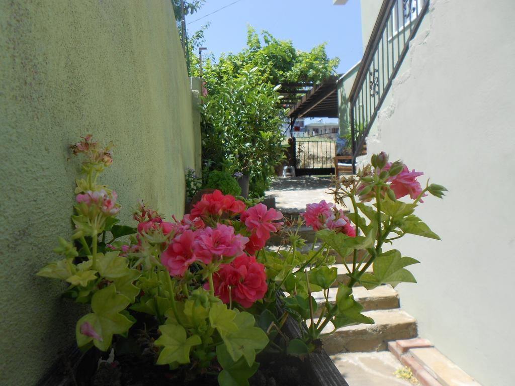 Irmak Family Pension & Apartments Eceabat Szoba fotó